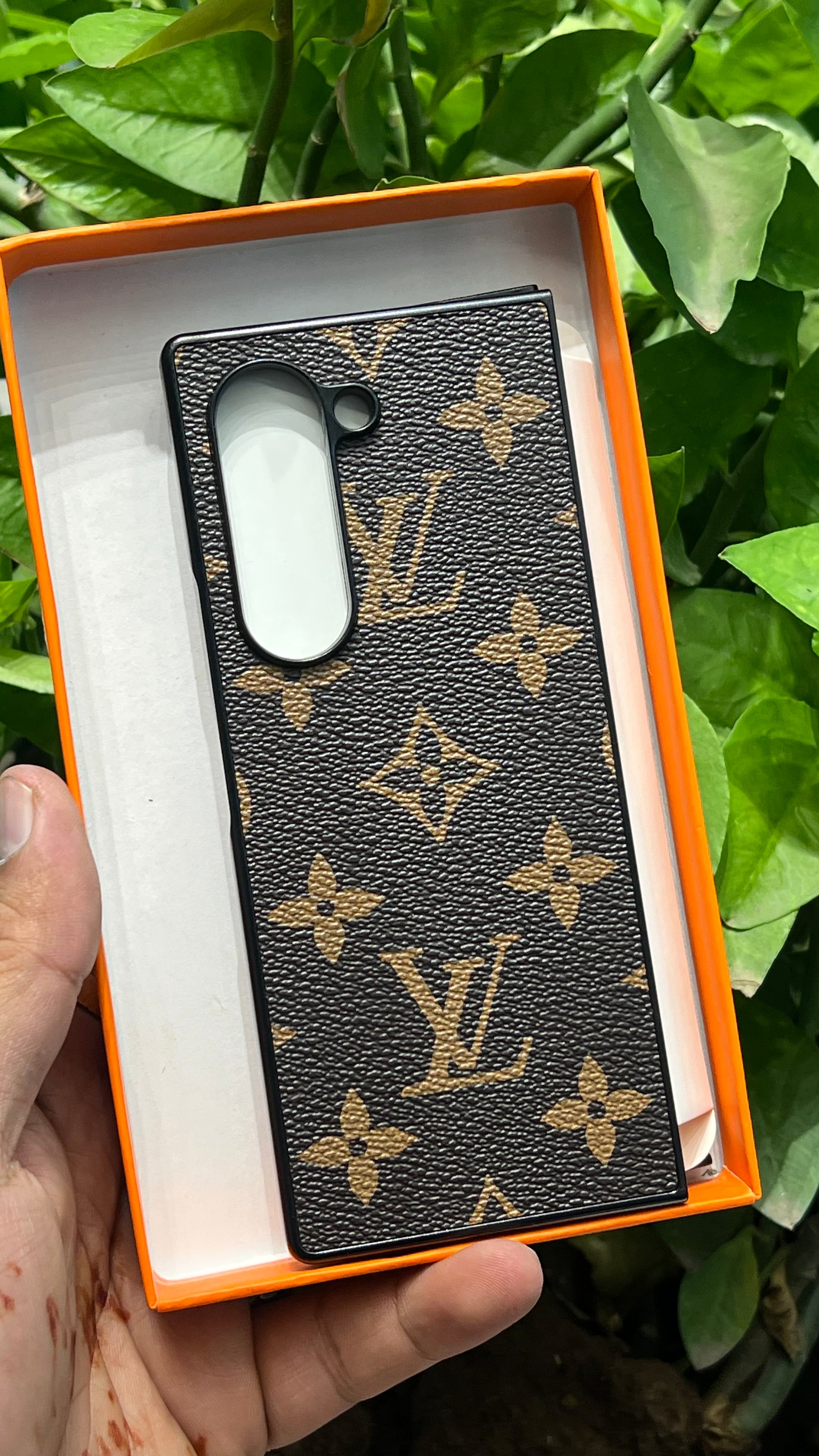 Lv case